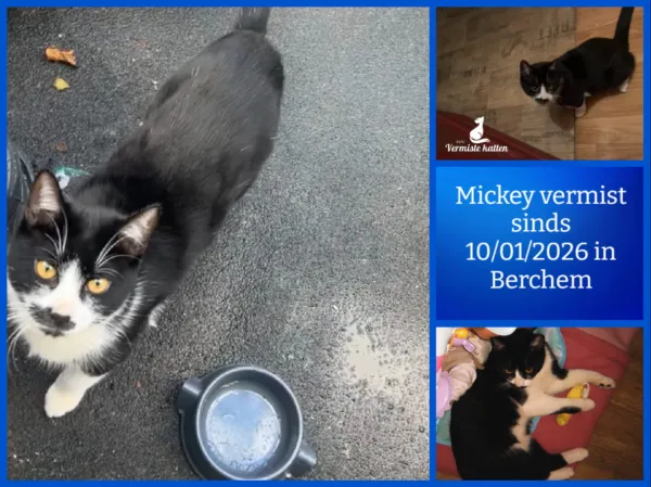 Mickey