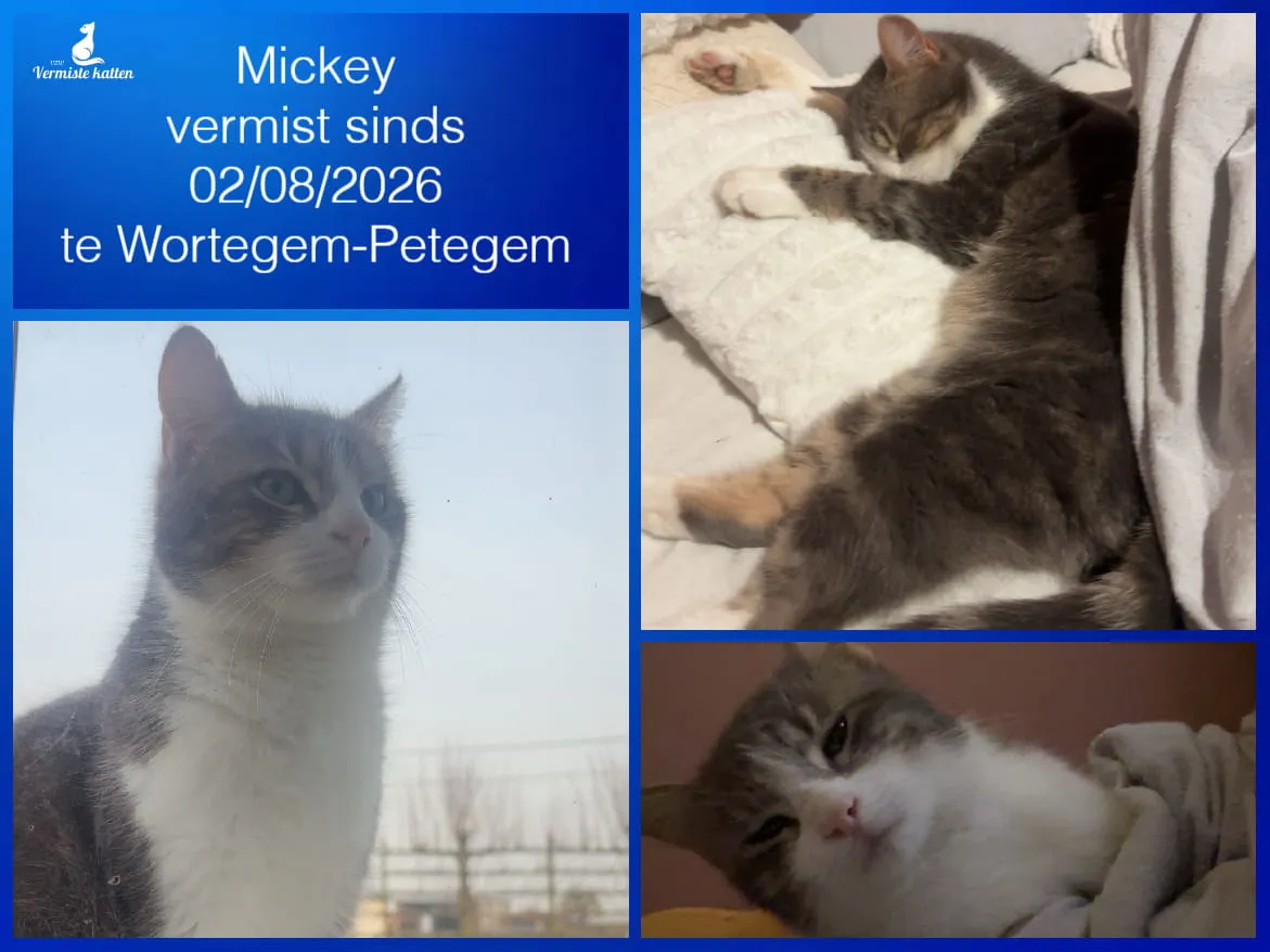 Mickey