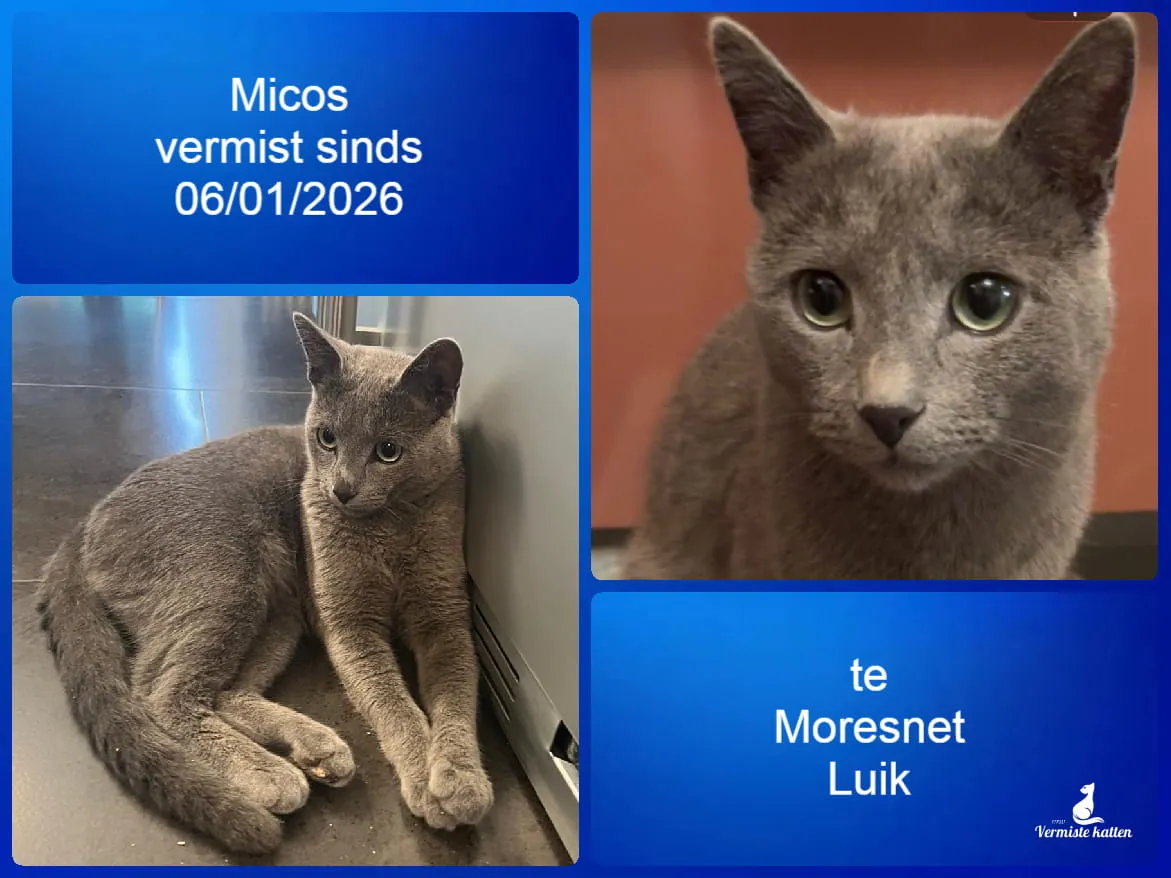 Micos