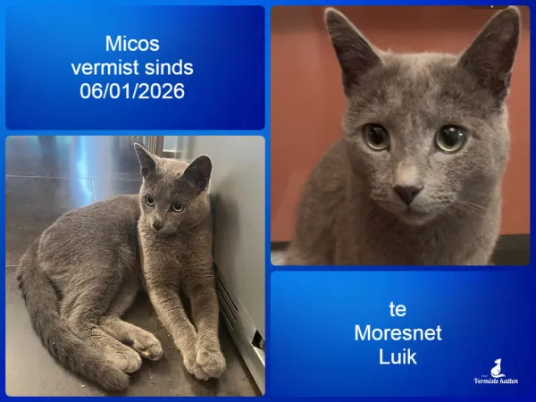 Micos