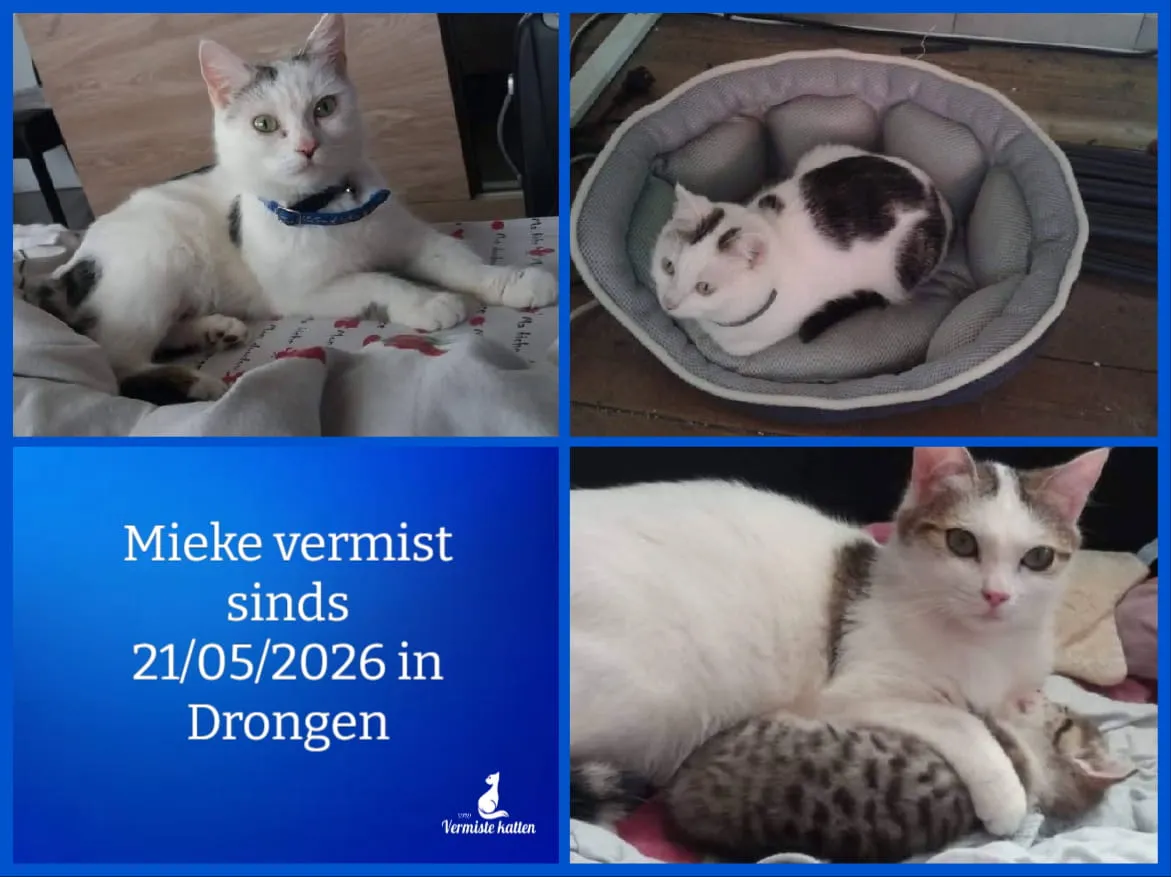 Mieke