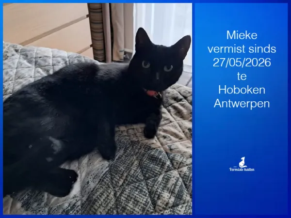 Mieke