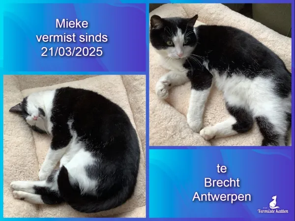 Mieke