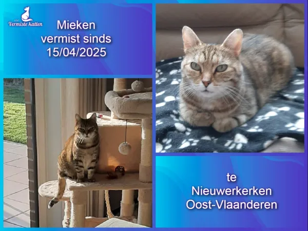 Mieken