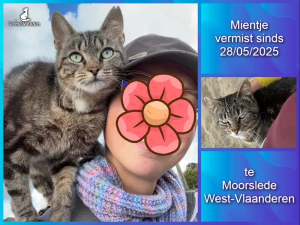 Mientje