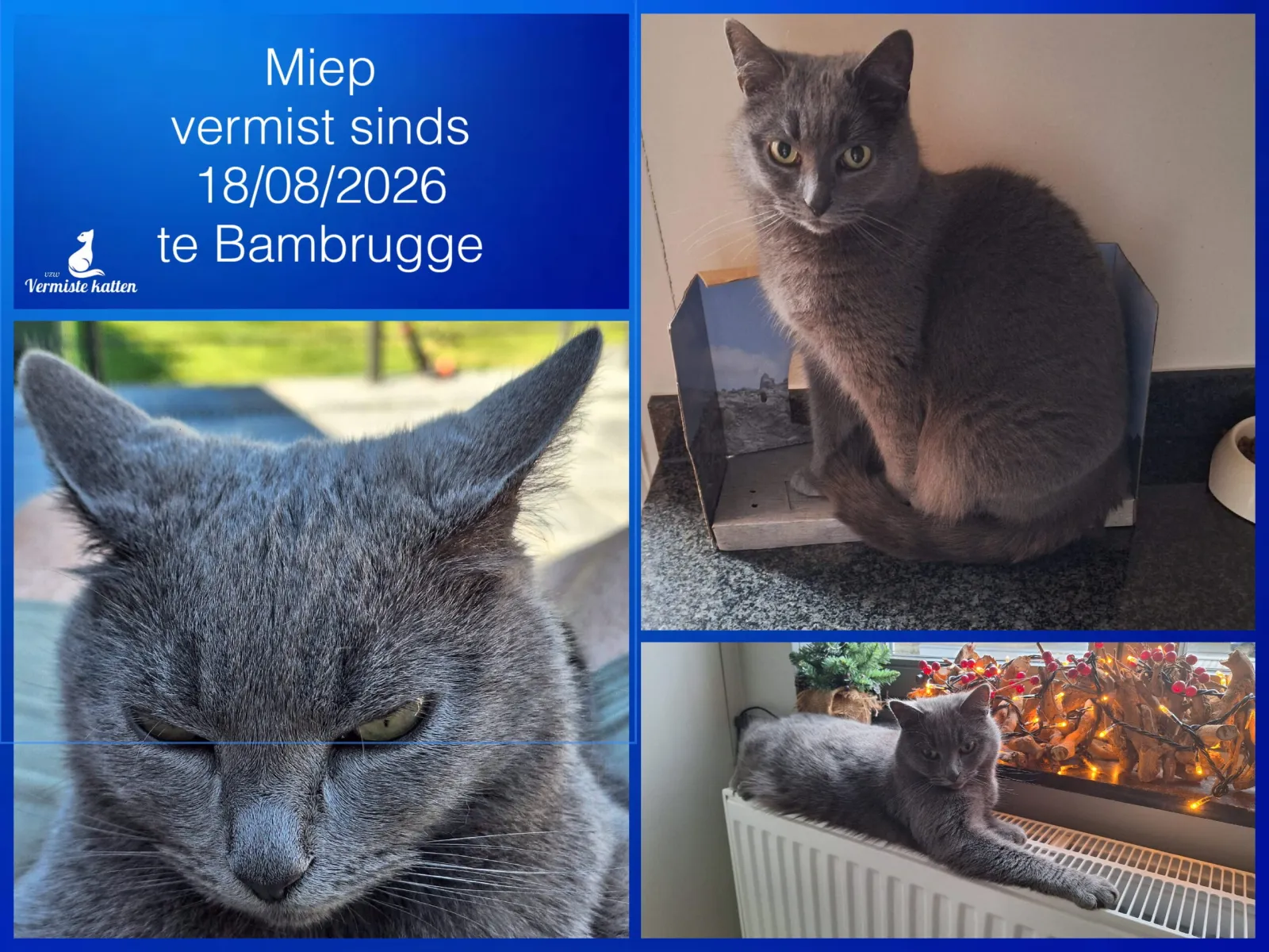 Miep