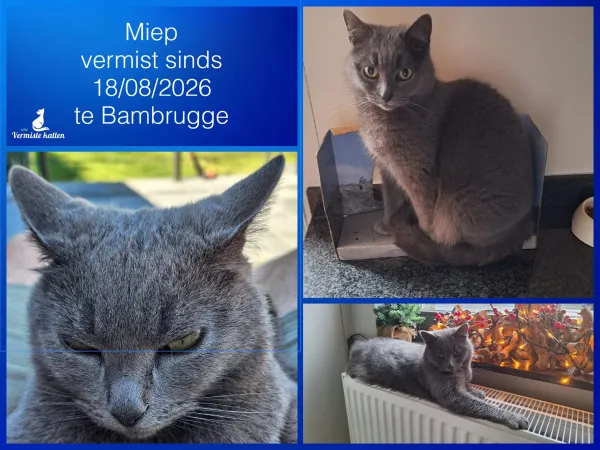 Miep