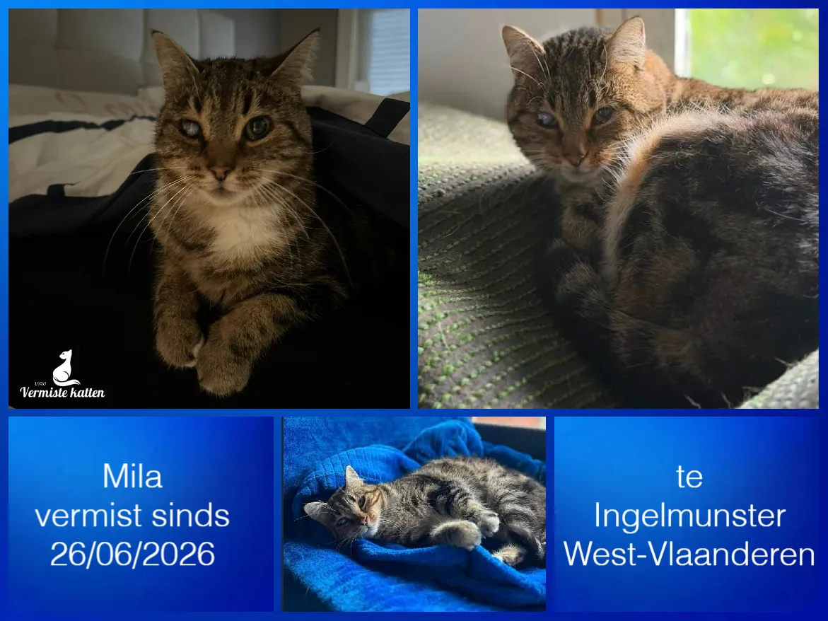 Mila