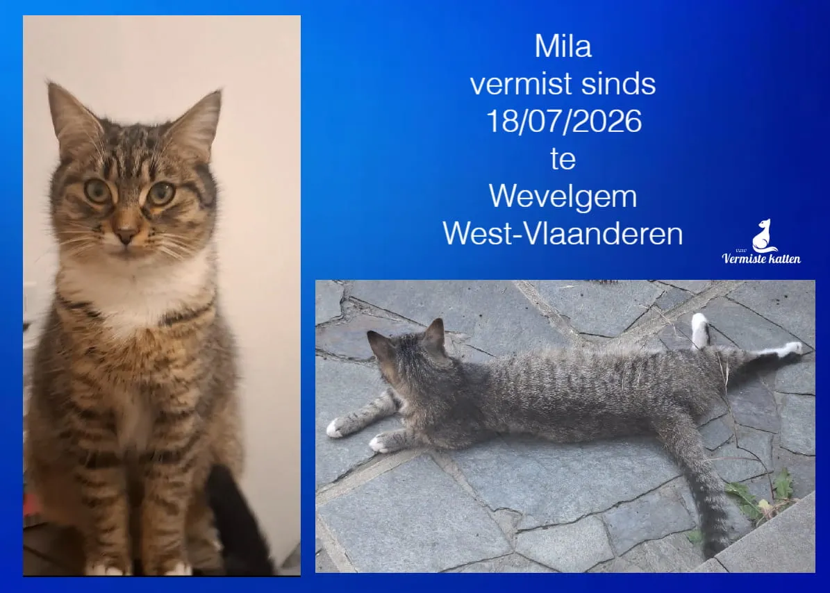 Mila