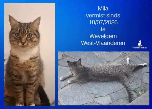 Mila
