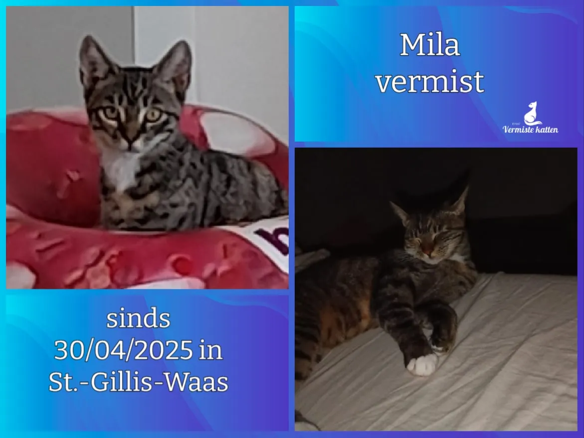 Mila