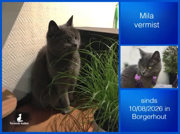 Mila
