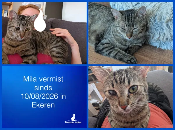 Mila