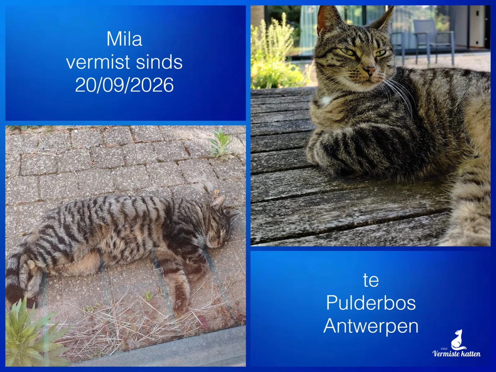 Mila