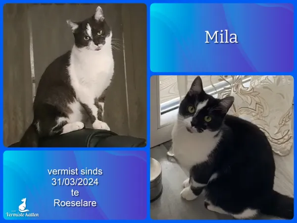 Mila