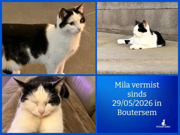 Mila