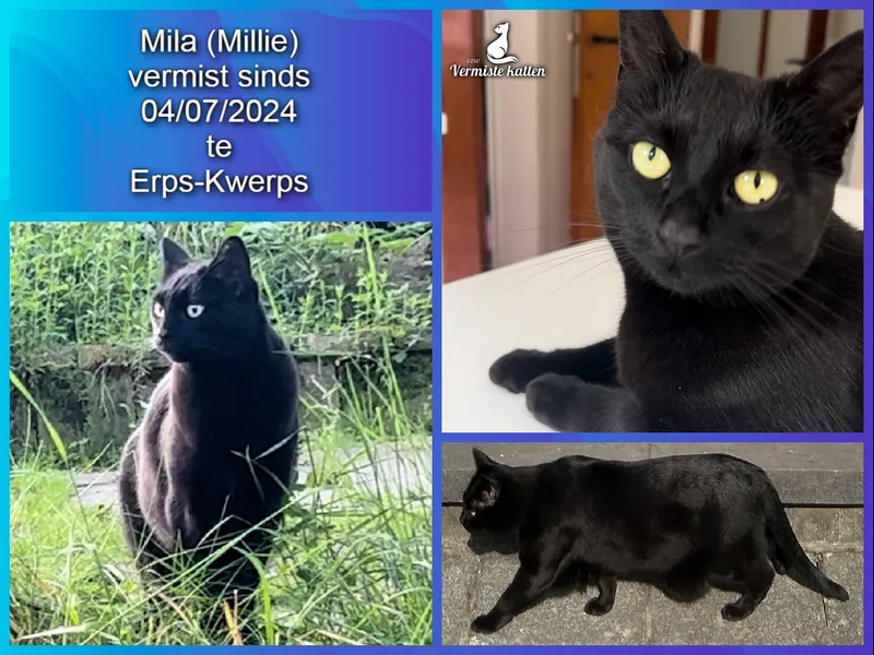 Mila (“Millie”)