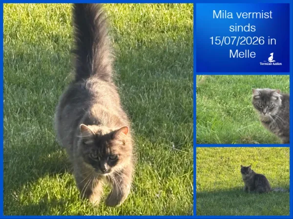 Mila