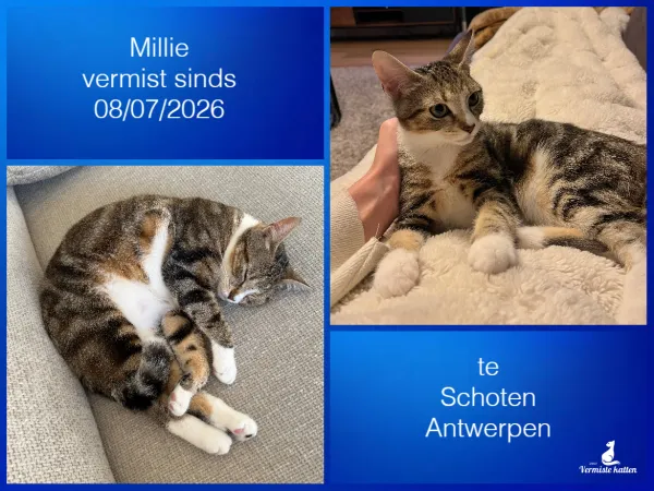Millie