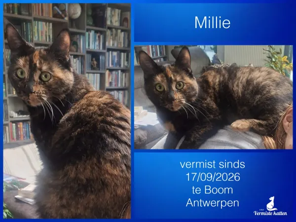 Millie