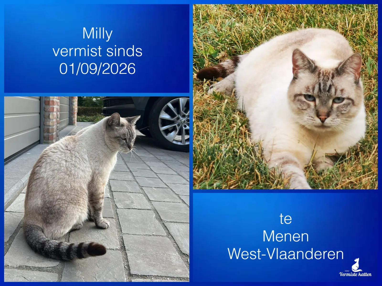 Milly
