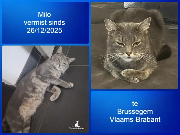 Milo