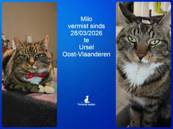 Milo