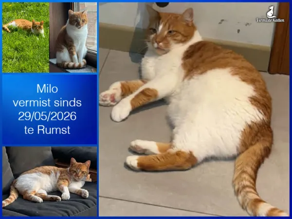 Milo