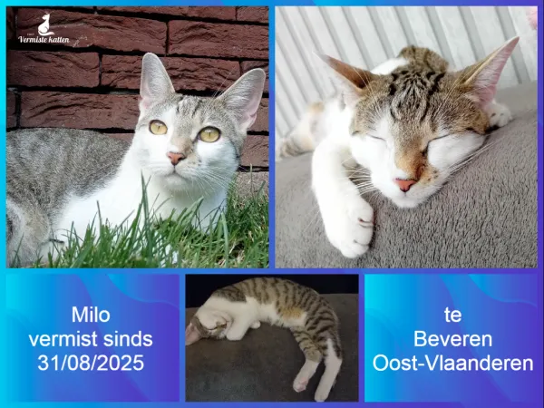 MILO