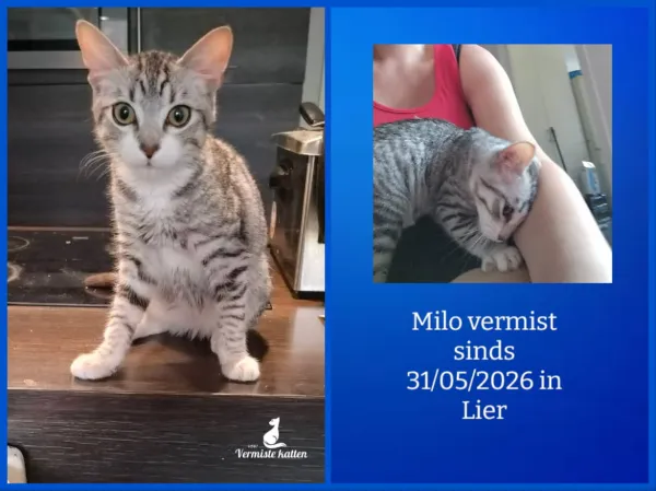 Milo