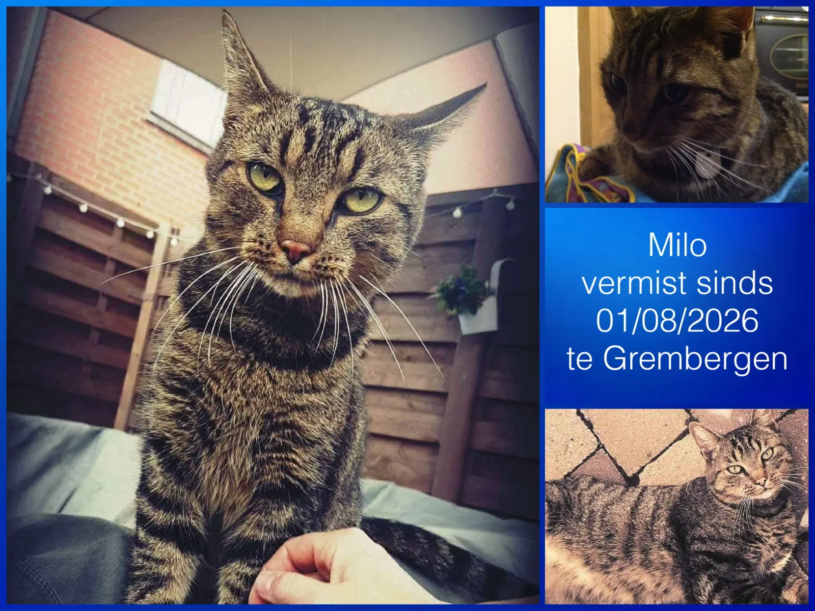 Milo