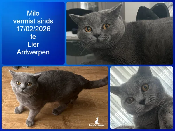 Milo