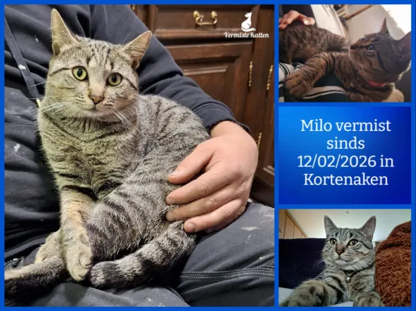 Milo