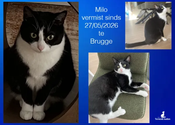 Milo