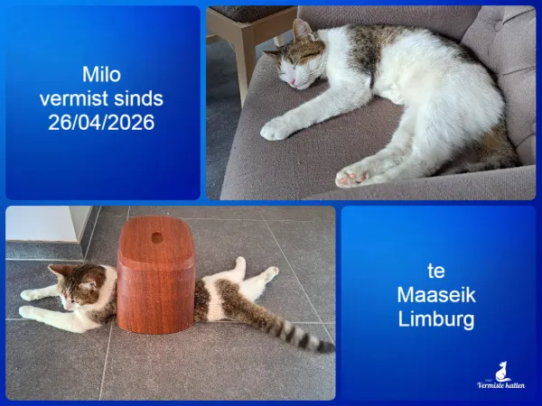 Milo
