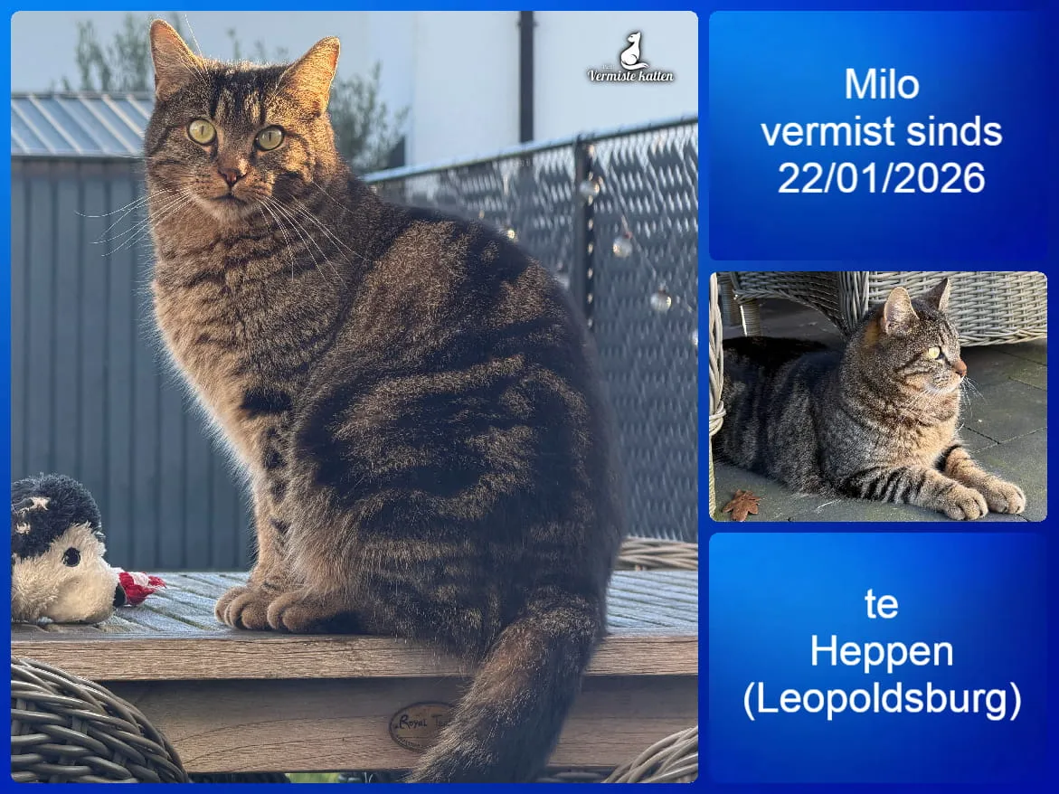 Milo