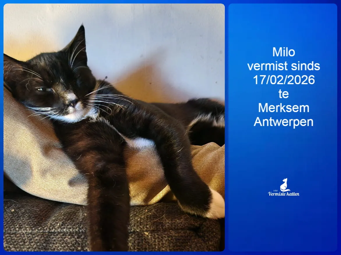Milo