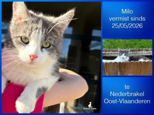Milo