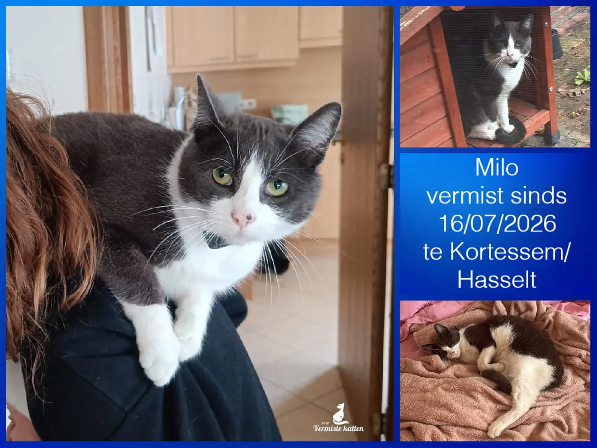 Milo