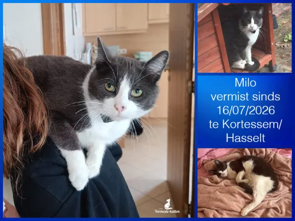 Milo