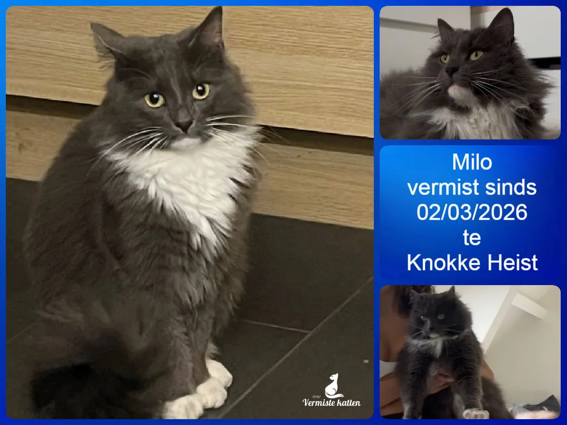 Milo