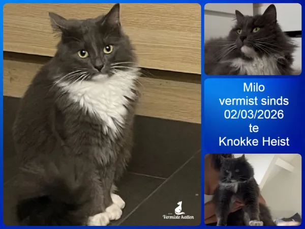 Milo