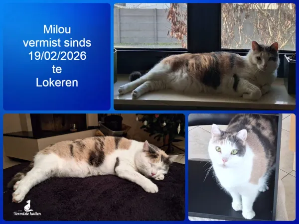 Milou