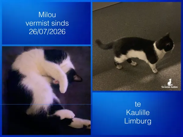 Milou
