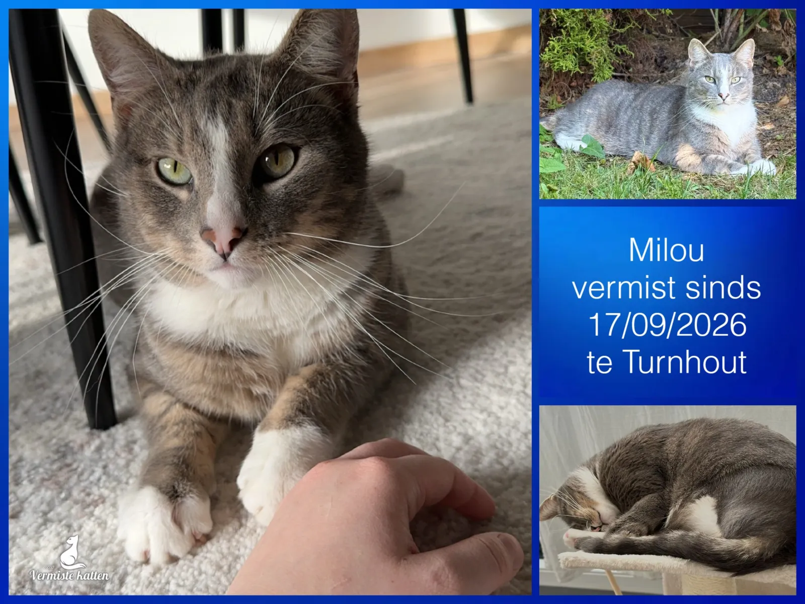 Milou
