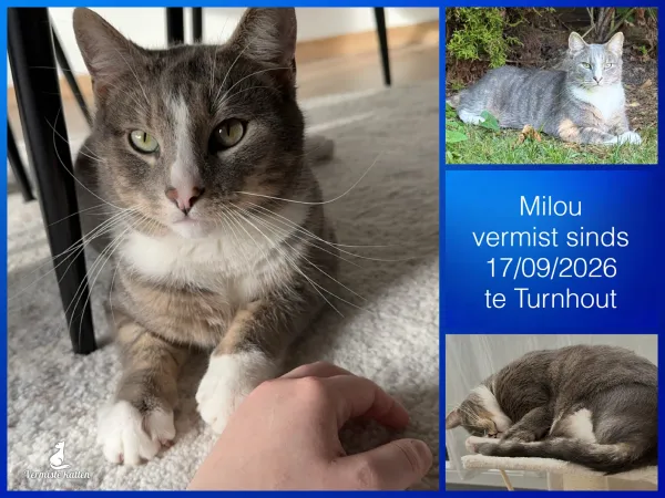 Milou