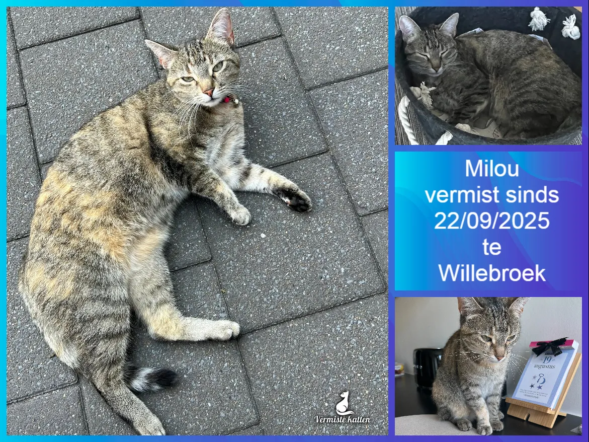 Milou