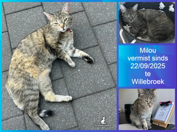 Milou