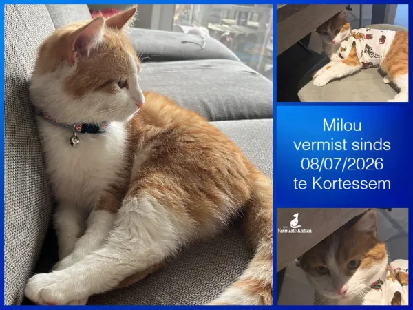 Milou