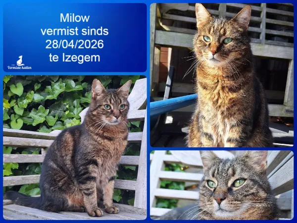 MILOW